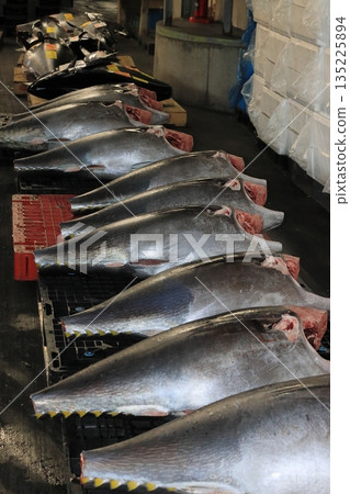 Fresh bluefin tuna sold at auction Fresh bluefin tuna sold at auction 135225894