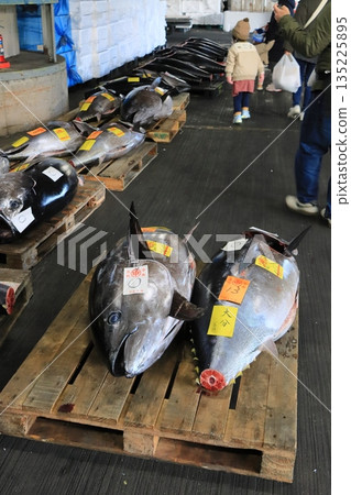 Fresh bluefin tuna sold at auction 135225895