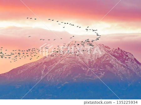 晨曦的櫻島 135225934