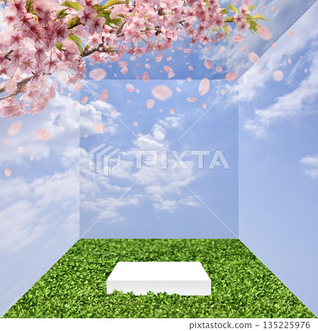 The season begins with cherry blossoms in full bloom, and the open-air display box The season begins with cherry blossoms in full bloom, and the open-air display box 135225976