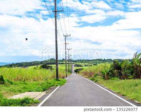 糖路（沖繩縣小濱島） 135226077