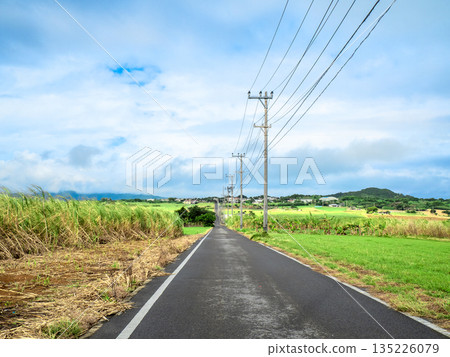 糖路（沖繩縣小濱島） 135226079
