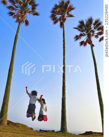Children jumping under the palm trees at Nojimazaki Park (Boso, Chiba) Children jumping under the palm trees at Nojimazaki Park (Boso, Chiba) 135226480