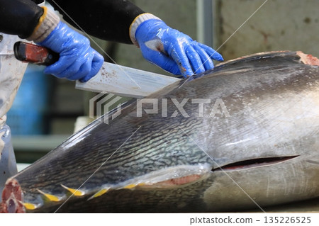 Raw bluefin tuna being butchered by a tuna craftsman 135226525