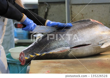 Raw bluefin tuna being butchered by a tuna craftsman Raw bluefin tuna being butchered by a tuna craftsman 135226528