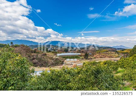奈良縣飛鳥村的冬季景色 135226575