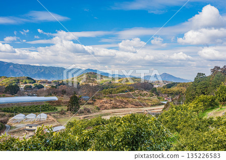 Winter scenery of Asuka Village, Asuka Village, Nara Prefecture 135226583