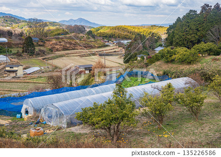 Rural landscape in the mountains, Asuka Village, Nara Prefecture 135226586