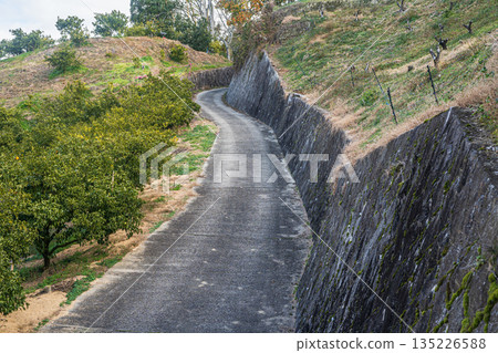 奈良縣飛鳥村飛鳥鄉村路 135226588