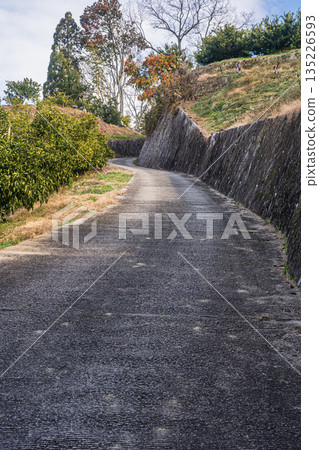 奈良縣飛鳥村飛鳥鄉村路 135226593