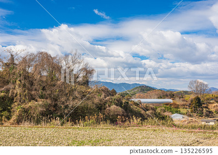 Winter scenery of Asuka Village, Asuka Village, Nara Prefecture Winter scenery of Asuka Village, Asuka Village, Nara Prefecture 135226595
