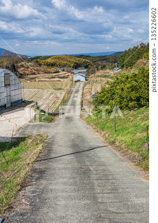 Winter rural scenery, Asuka Village, Nara Prefecture Winter rural scenery, Asuka Village, Nara Prefecture 135226602