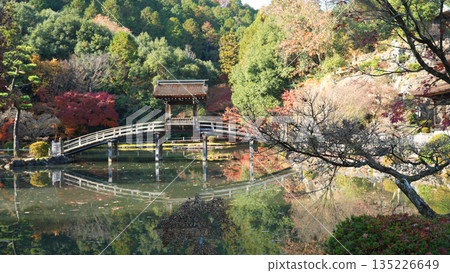 岐阜縣多治見市溪山永法寺 岐阜縣多治見市溪山永法寺 135226649