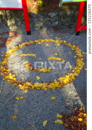 Autumn at Izumo Grand Shrine in Kyoto Autumn at Izumo Grand Shrine in Kyoto 135226870