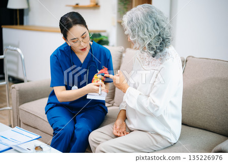 Asian nurse explains a heart model to an elderly woman at home, focusing on heart health, cardiology, patient education, senior care, and modern home 135226976