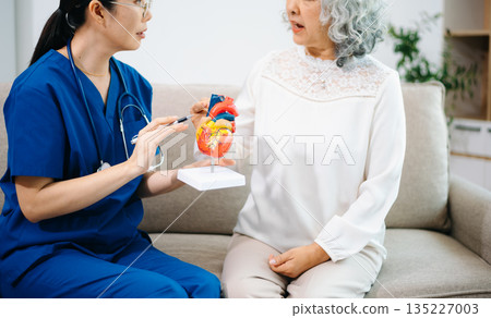 Asian nurse explains a heart model to an elderly woman at home, focusing on heart health, cardiology, patient education, senior care, and modern home 135227003