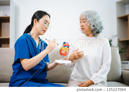 Asian nurse explains a heart model to an elderly woman at home, focusing on heart health, cardiology, patient education, senior care, and modern home 135227004