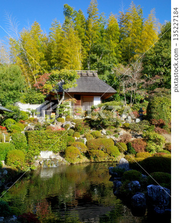 京都東寺的秋葉 京都東寺的秋葉 135227184