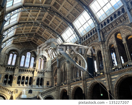 Traditional museum building and hanging whale skeleton Traditional museum building and hanging whale skeleton 135227207