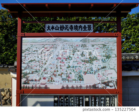 京都妙心寺泰藏院的秋天 京都妙心寺泰藏院的秋天 135227504