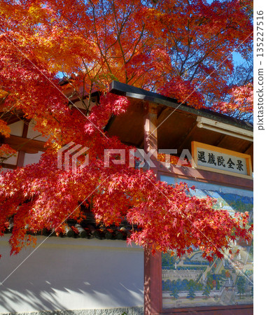 京都妙心寺泰藏院的秋天 135227516
