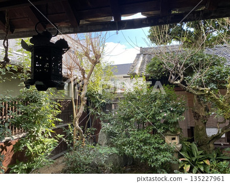 Japanese garden 135227961