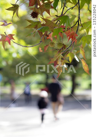 公園裡，一位家長和小孩與一棵銀杏樹合影 135228042