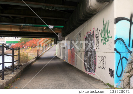 Underpass and graffiti 135228071