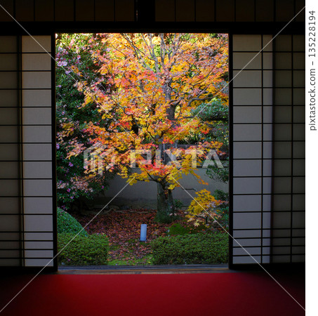 Autumn at Unryu-in, a sub-temple of Sennyuji Temple in Kyoto 135228194