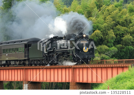 SL Yamaguchi D51 6012 135228511