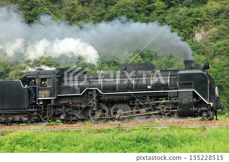 SL Yamaguchi D51 6075 135228515