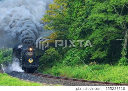 SL Yamaguchi D51 6193 135228518