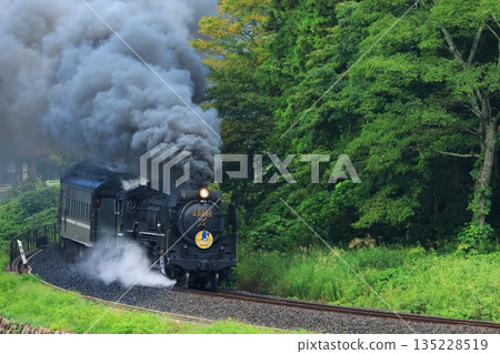 SL Yamaguchi D51 6206 135228519