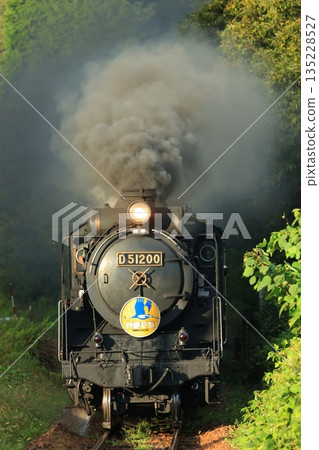 SL Yamaguchi D51 6310 SL Yamaguchi D51 6310 135228527