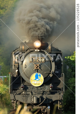 SL Yamaguchi D51 6329 SL Yamaguchi D51 6329 135228528