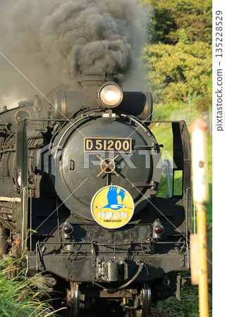 SL Yamaguchi D51 6346 SL Yamaguchi D51 6346 135228529