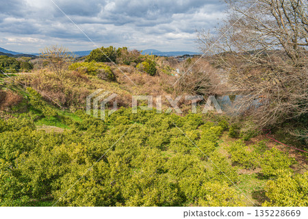 奈良縣飛鳥村飛鳥山坡果園 奈良縣飛鳥村飛鳥山坡果園 135228669