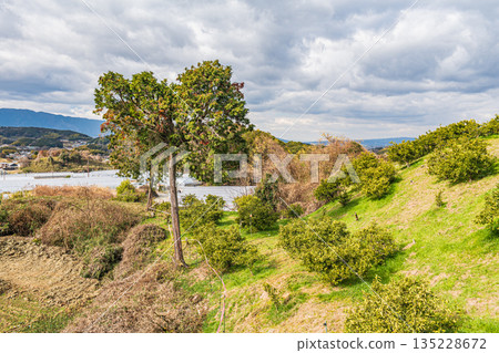 Winter rural scenery, Asuka Village, Nara Prefecture Winter rural scenery, Asuka Village, Nara Prefecture 135228672