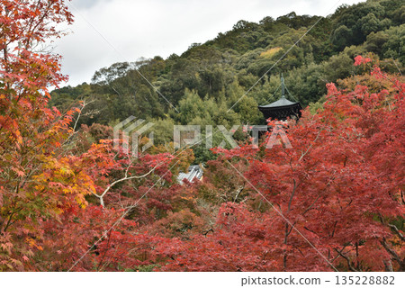 永堂禪林寺 - 楓樹環繞的多寶塔(京都市左京區) 永堂禪林寺 - 楓樹環繞的多寶塔(京都市左京區) 135228882