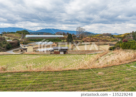 奈良縣飛鳥村的冬季鄉村景色 135229248