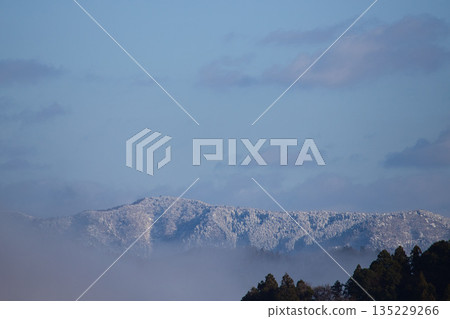 Winter visitors 135229266