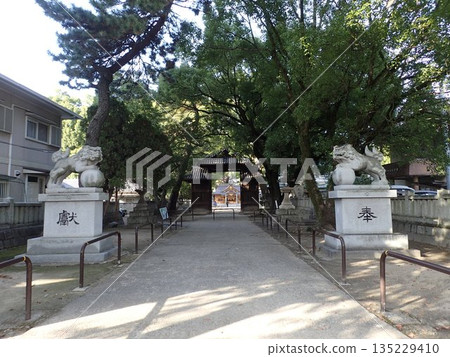 Ichinomiya Shrine, located in the center of Niihama City, Ehime Prefecture, is where the Niihama Taiko Festival takes place, with the Kawanishi district drumming competition taking place. 135229410