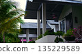 lush palms and tranquil porch, serene resort ambiance featuring concealed seating and blooming plants 135229589