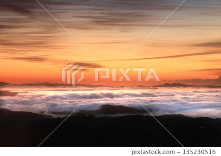 雲海 5342 135230516