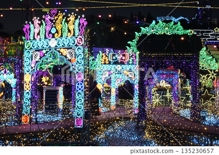 Blue Illumination 135230657