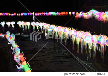 Izu Granpal Park Illumination Izu Granpal Park Illumination 135230661