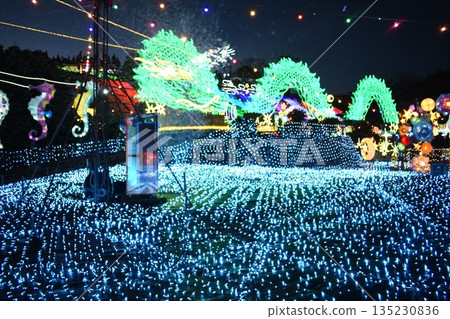 伊豆格藍帕爾公園燈光秀 135230836