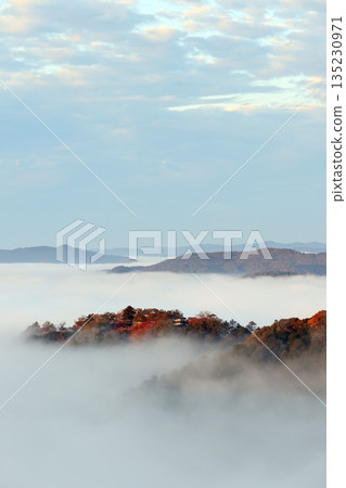 Castle in the Sky 6431 135230971