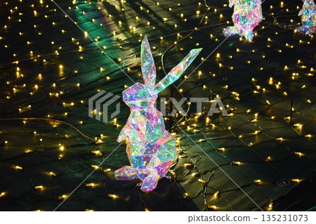 閃亮的光芒 閃亮的光芒 135231073