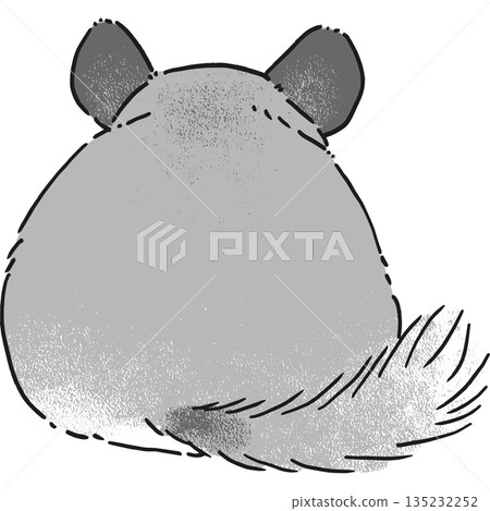 手繪插圖,一隻龍貓坐在地板上。 手繪插圖,一隻龍貓坐在地板上。 135232252